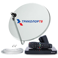 Триколор Пушкин